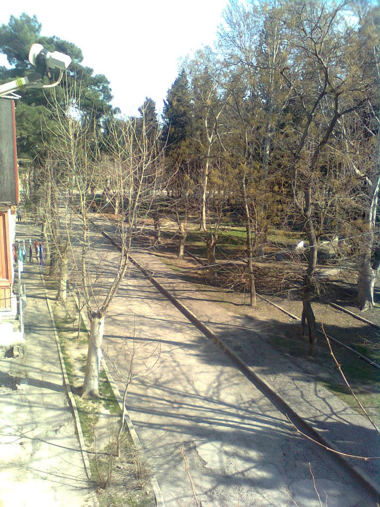 aslanikasvili st.