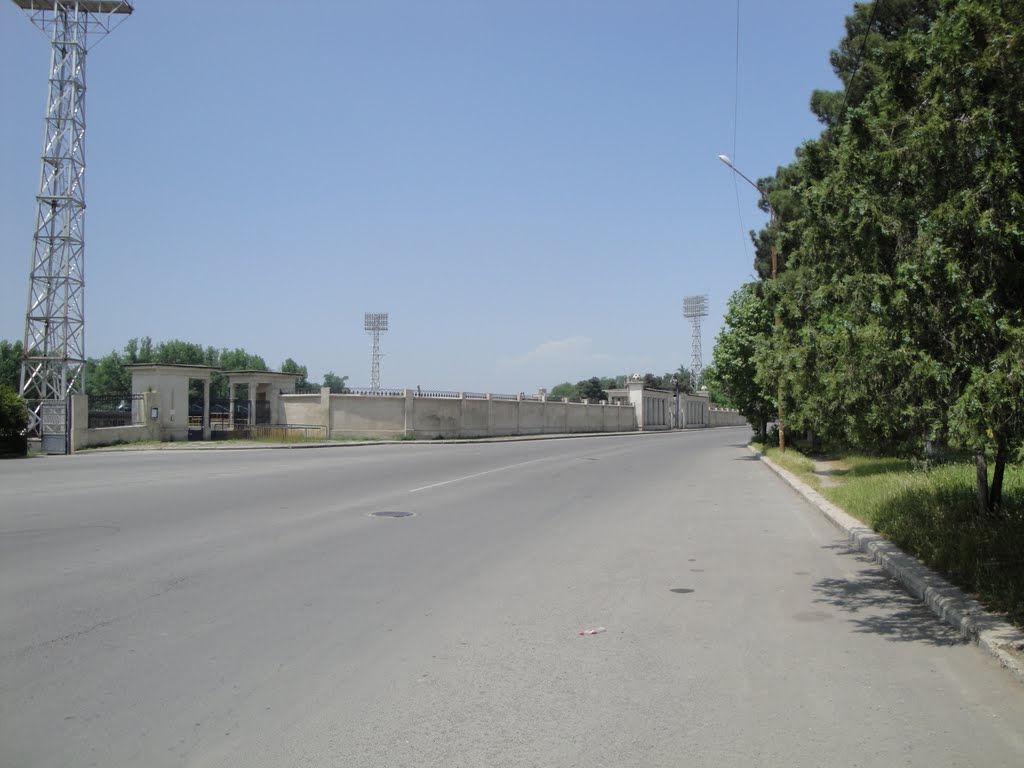 Рустави