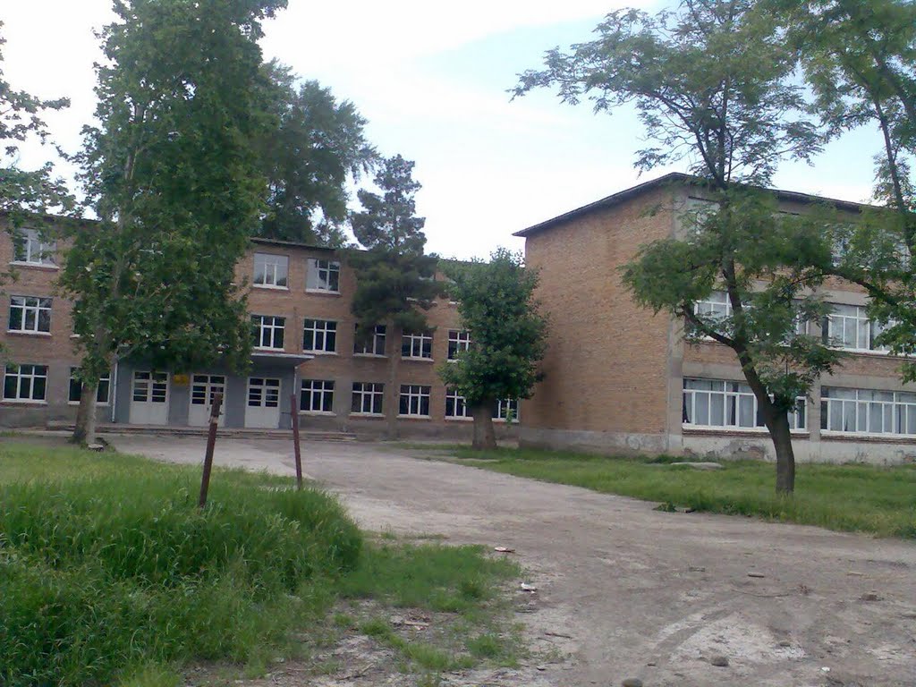 9-я школа