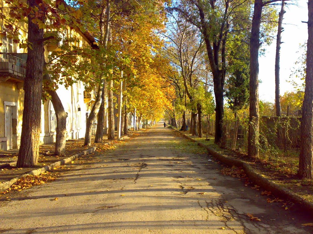 გიორგაძის ქუჩა, რუსთავი. (ინტერნატები), giorgadze st. Rustavi, Georgia