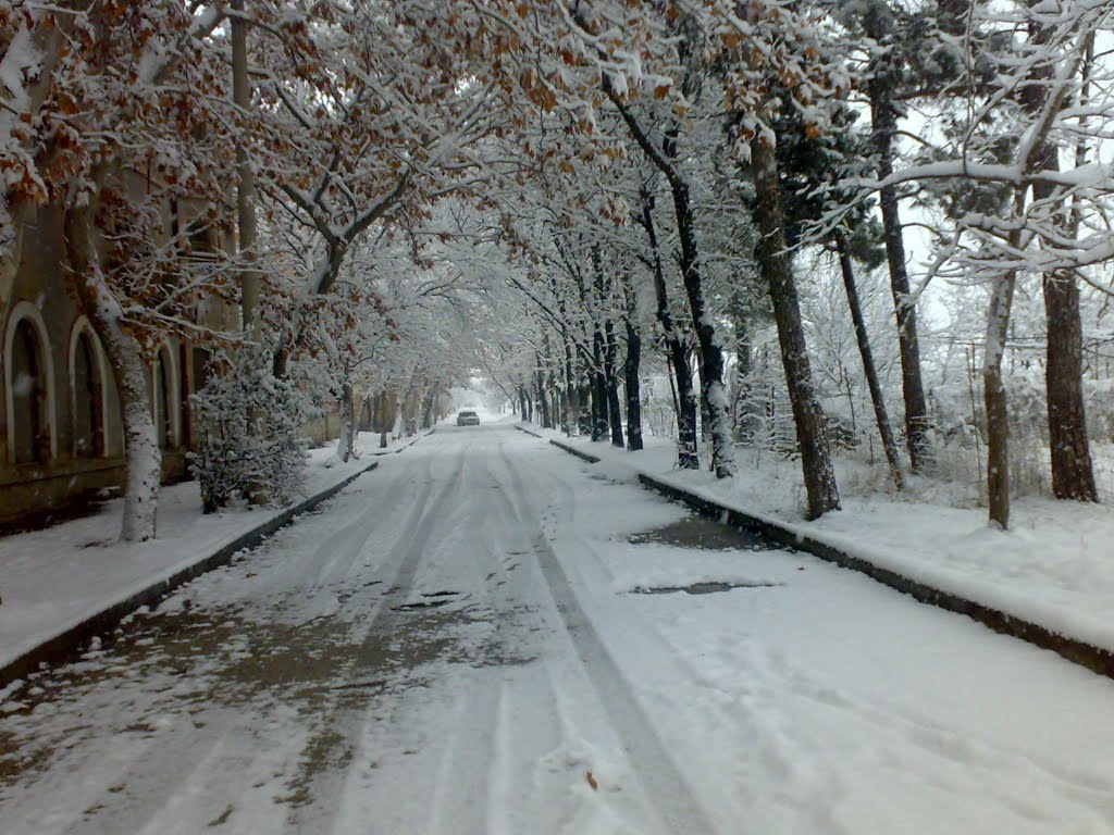 გიორგაძის ქ. (ინტერნატები)