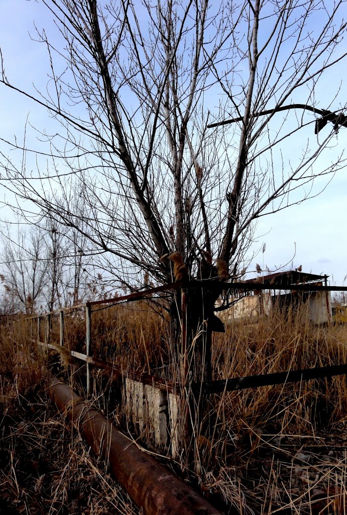Rustavi scenery
