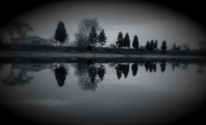 Rustavi park