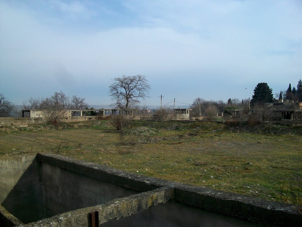 Abandoned ponds of WWTP