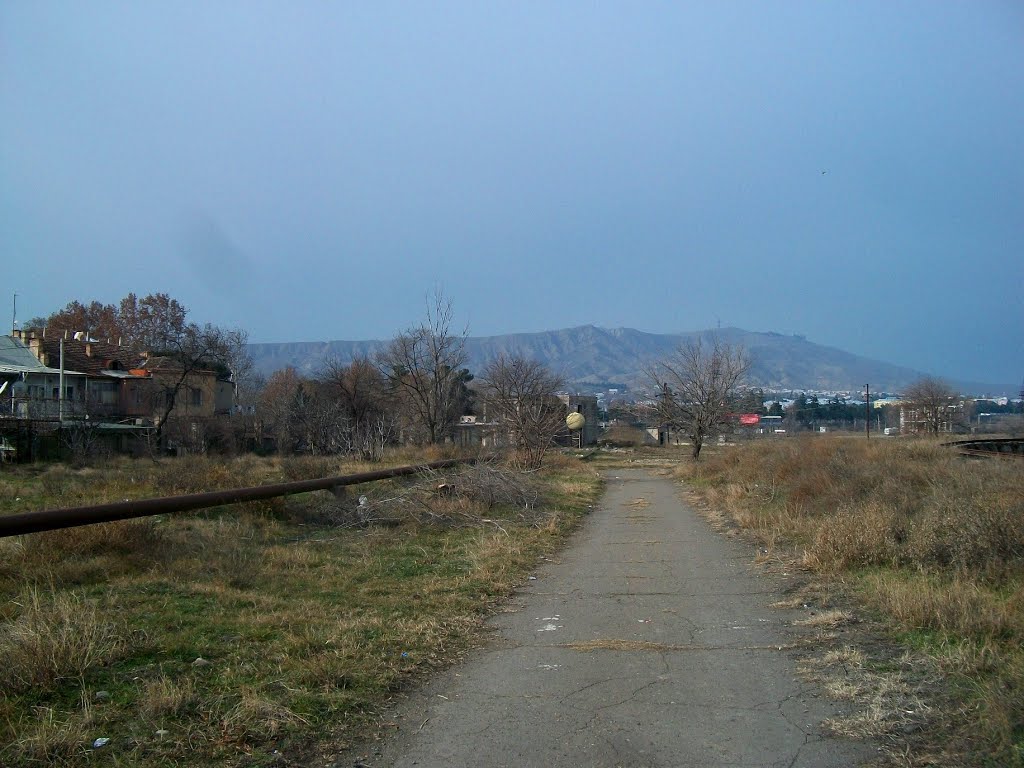 Road along abandoned WWTP in Rustavi