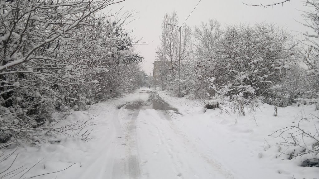 Graneli st.   Rustavi   გრანელის ქუჩა