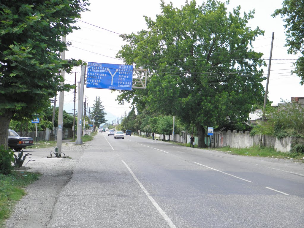 Samtredia,country central trasse, Tamar mepis 2