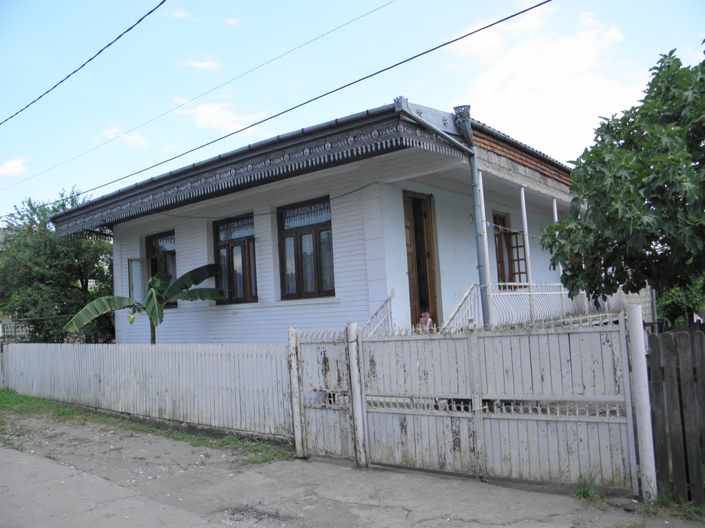 samtredia, my friend house 2