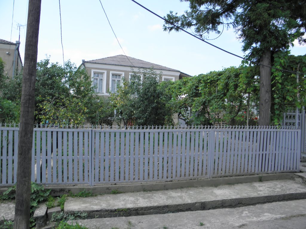 samtredia, my friend house 3