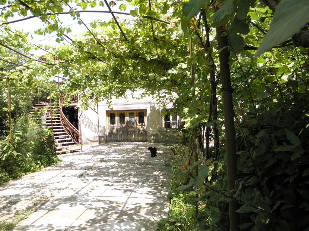 sarajishvili street, ,y friend house