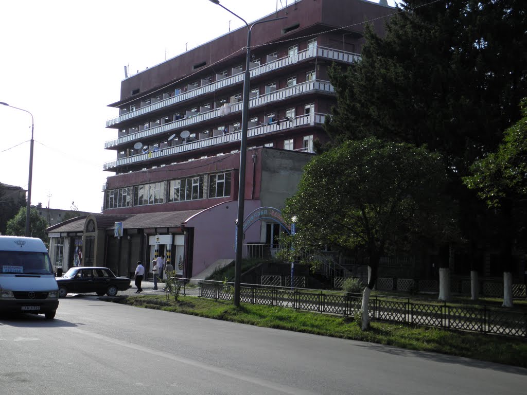 Samtredia,Exhotel "SAMTREDIA"