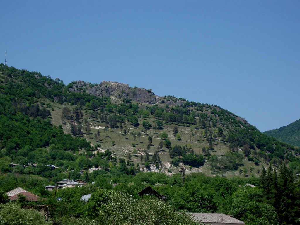 მოდინახეს ციხე