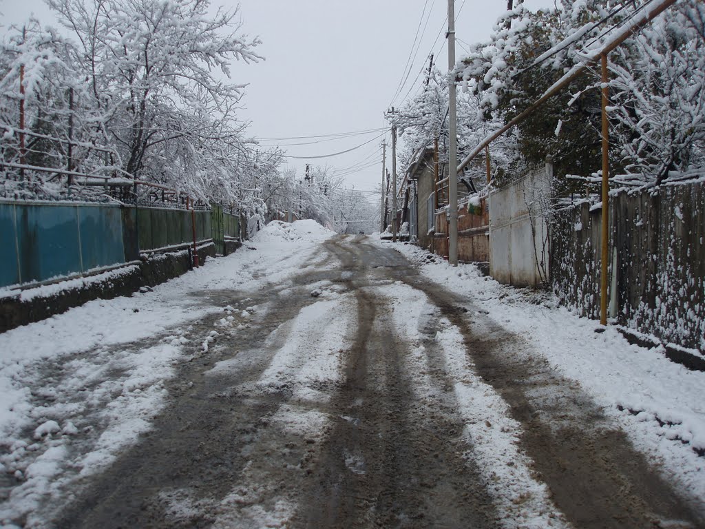 საჩხერე