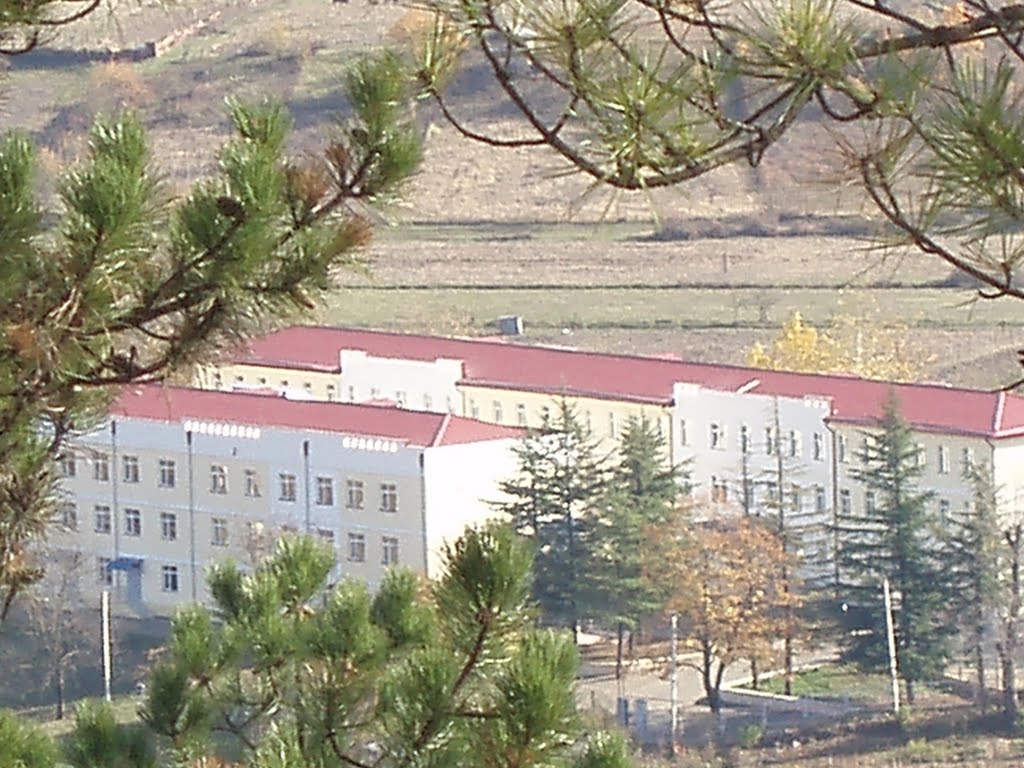 საჩხერე