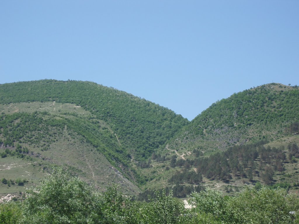 საჩხერე