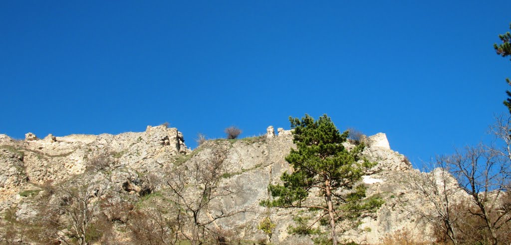 მოდი ნახე