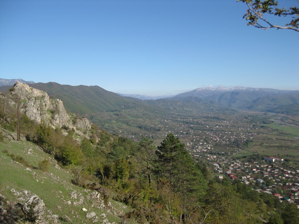 ANDRO DEKANOIDZE