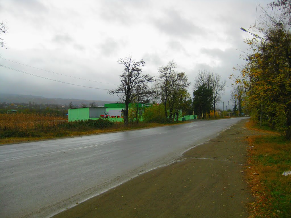 sachxere