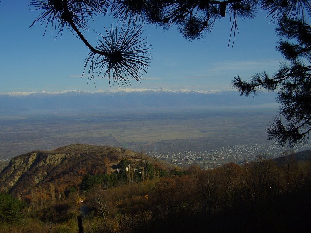 კახეთი/Kakheti region, Georgia