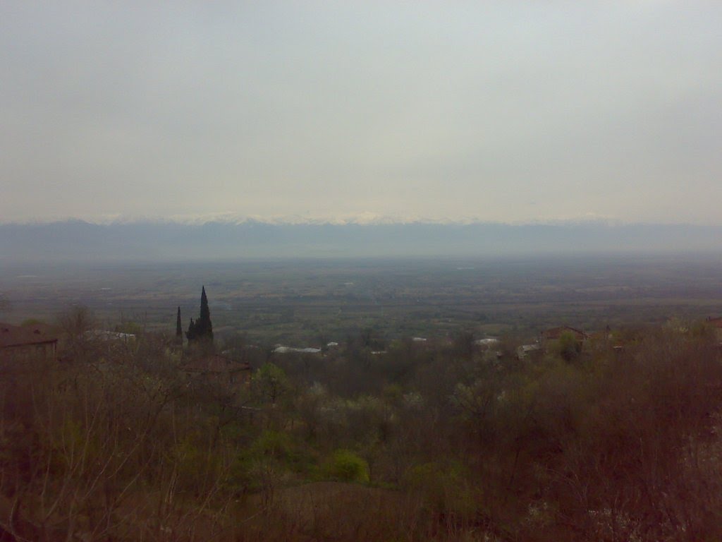 ALAZANIAN VALLEY NiYAZ FROM BAKU