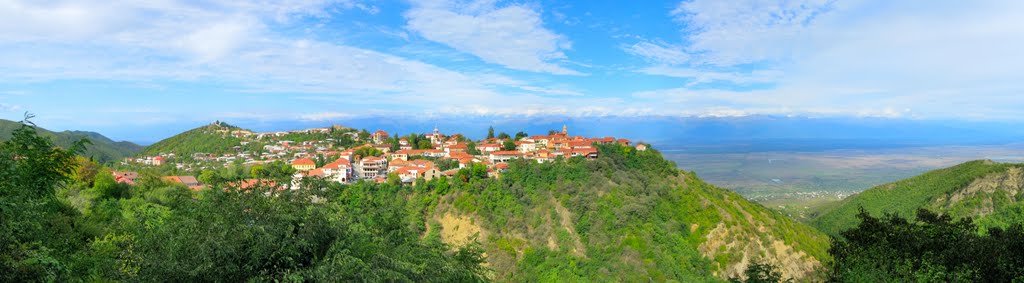 სიღნაღი