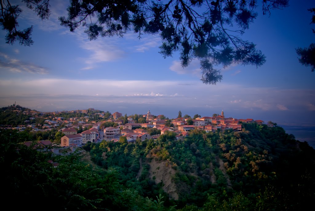 View of the city Signahi