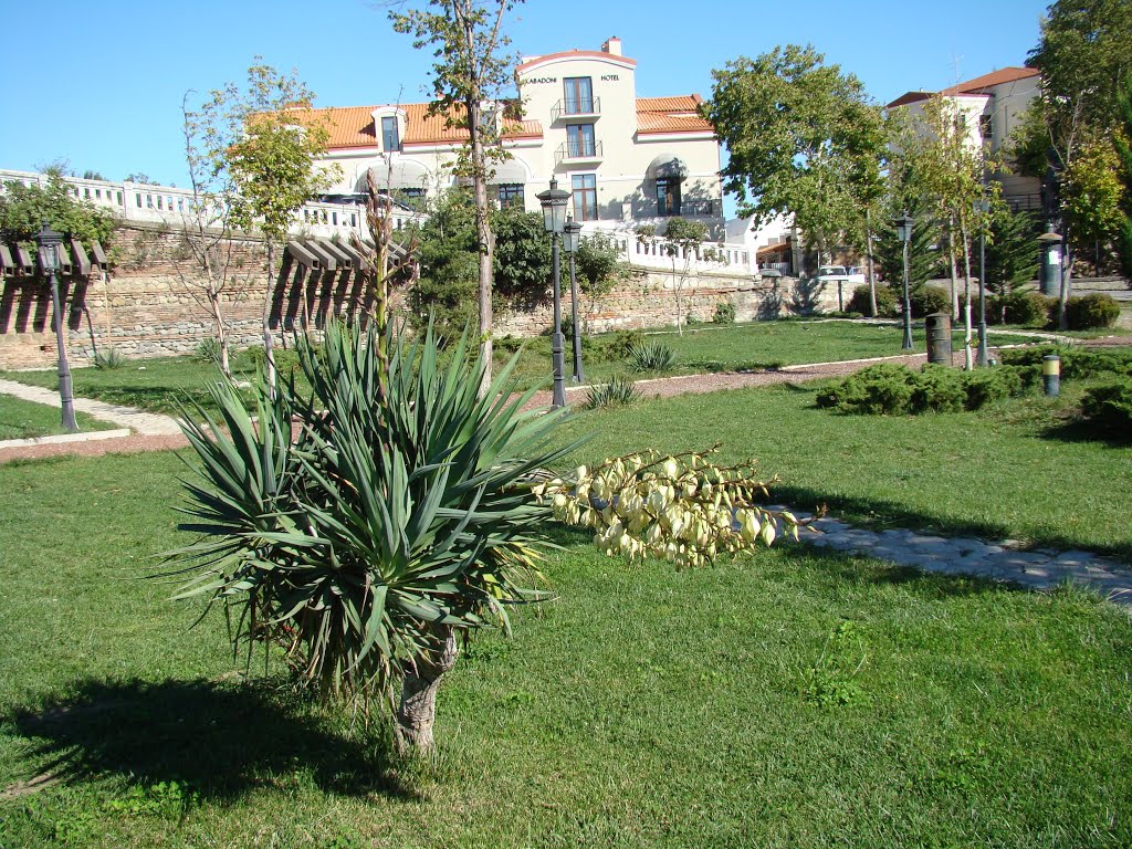 Sighnaghi Garden