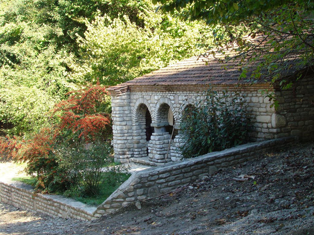 St.Ninos Spring, Bodbe