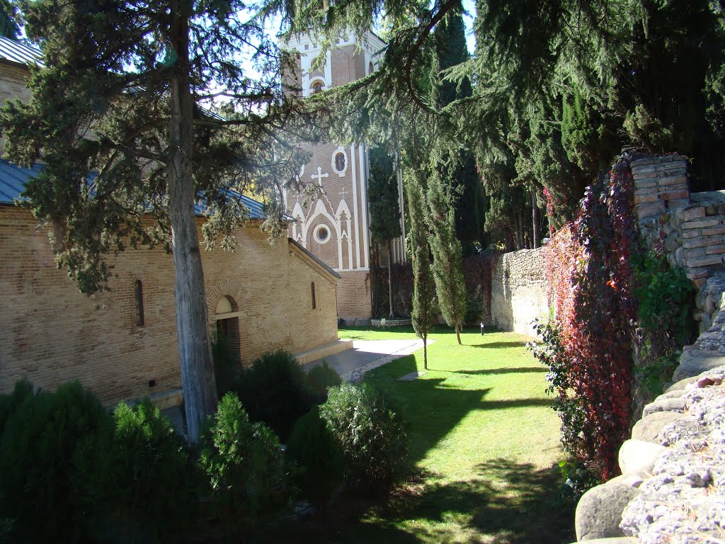 Bodbe Monastery Backyard