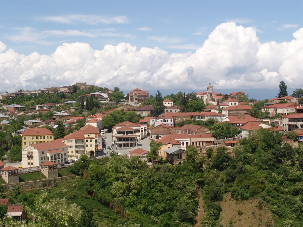 View To Sighnaghi 03