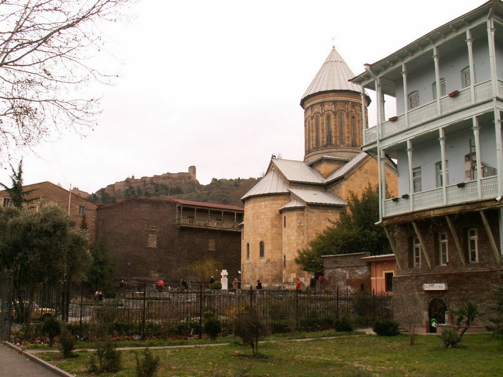 1.sioni emb1