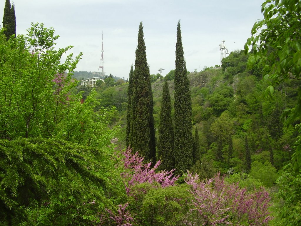 Tbilisi Botanical Garden