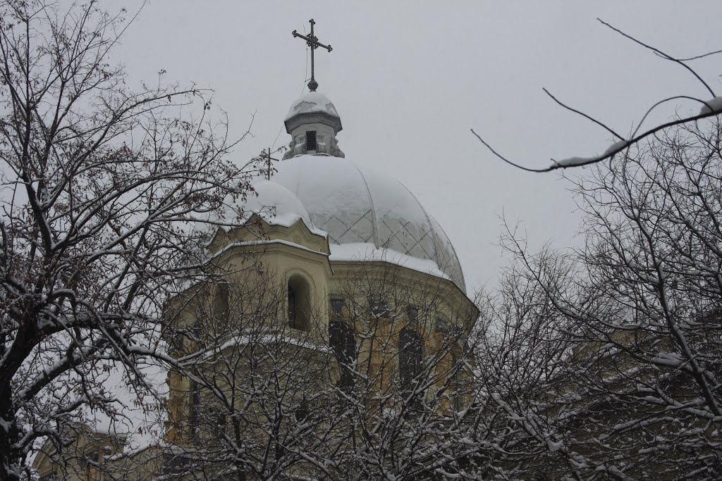Snowfall in Tbilisi