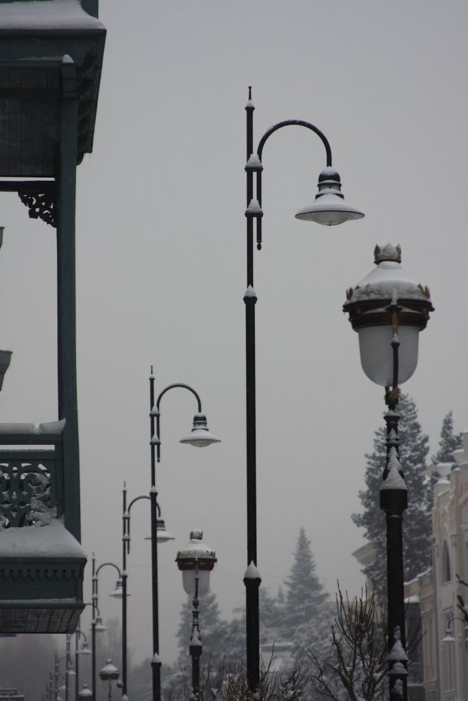 Snowfall in Tbilisi
