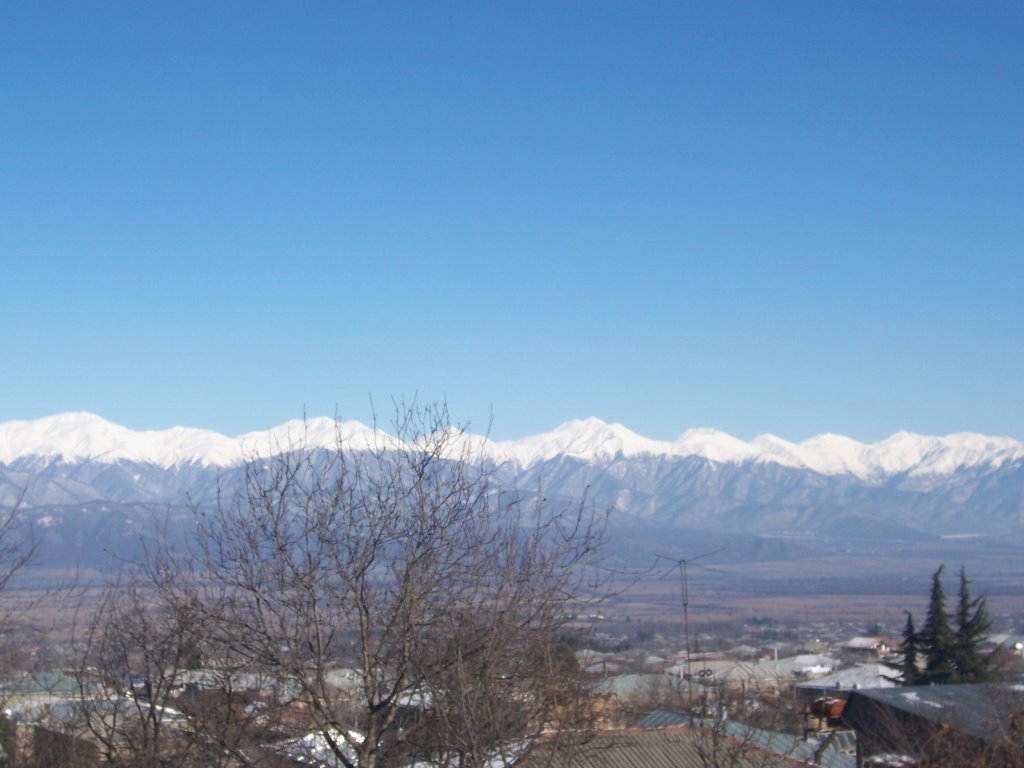 kavkasioni