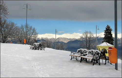 Telavi, Nadikvari park