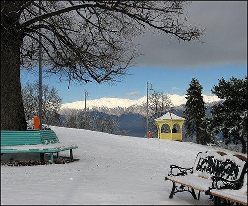 Telavi, Nadikvari park