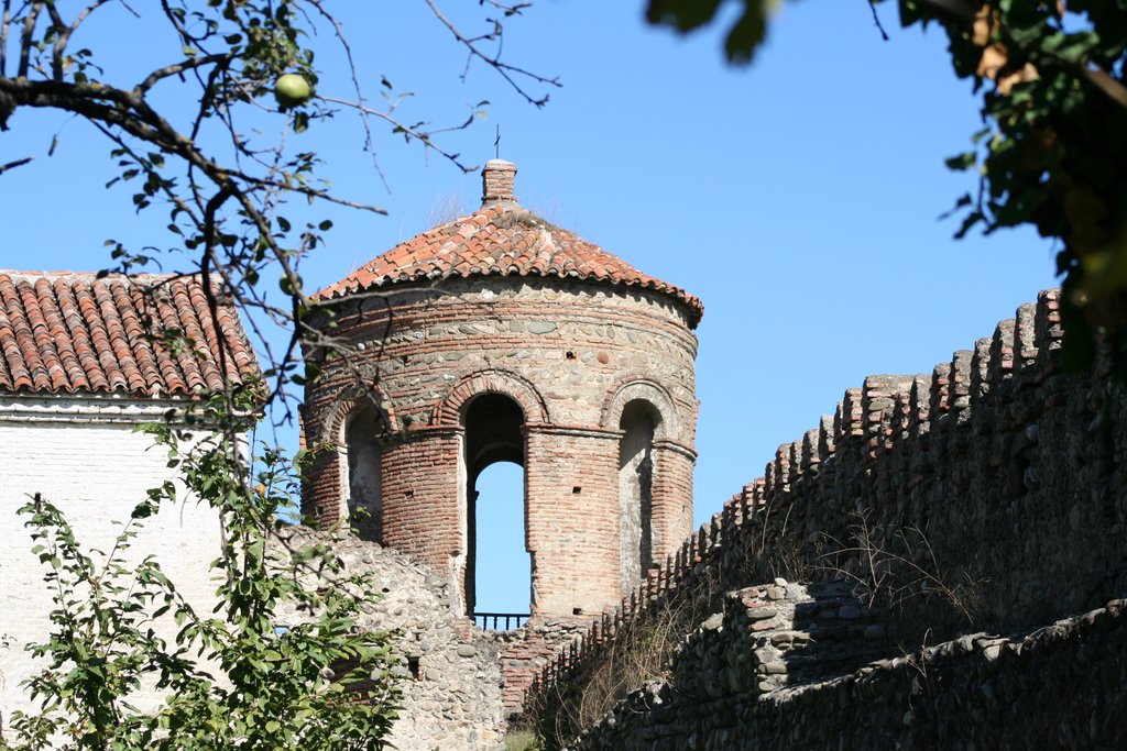 Telavi