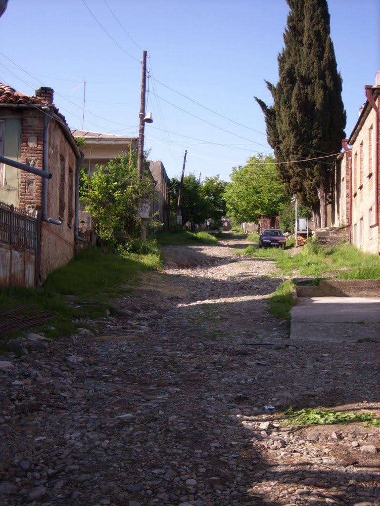 Strasse vor Nellis Pension (2008)