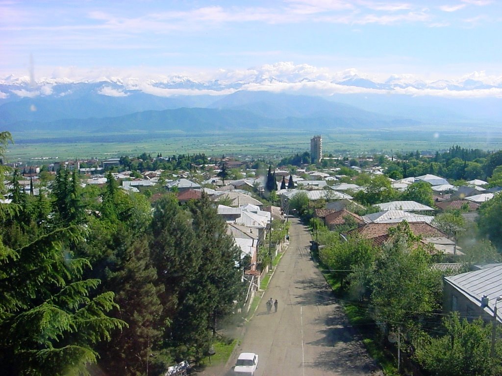 Telavi