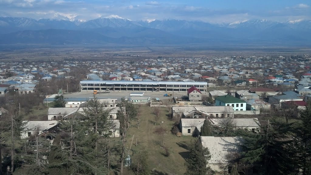 თელავი