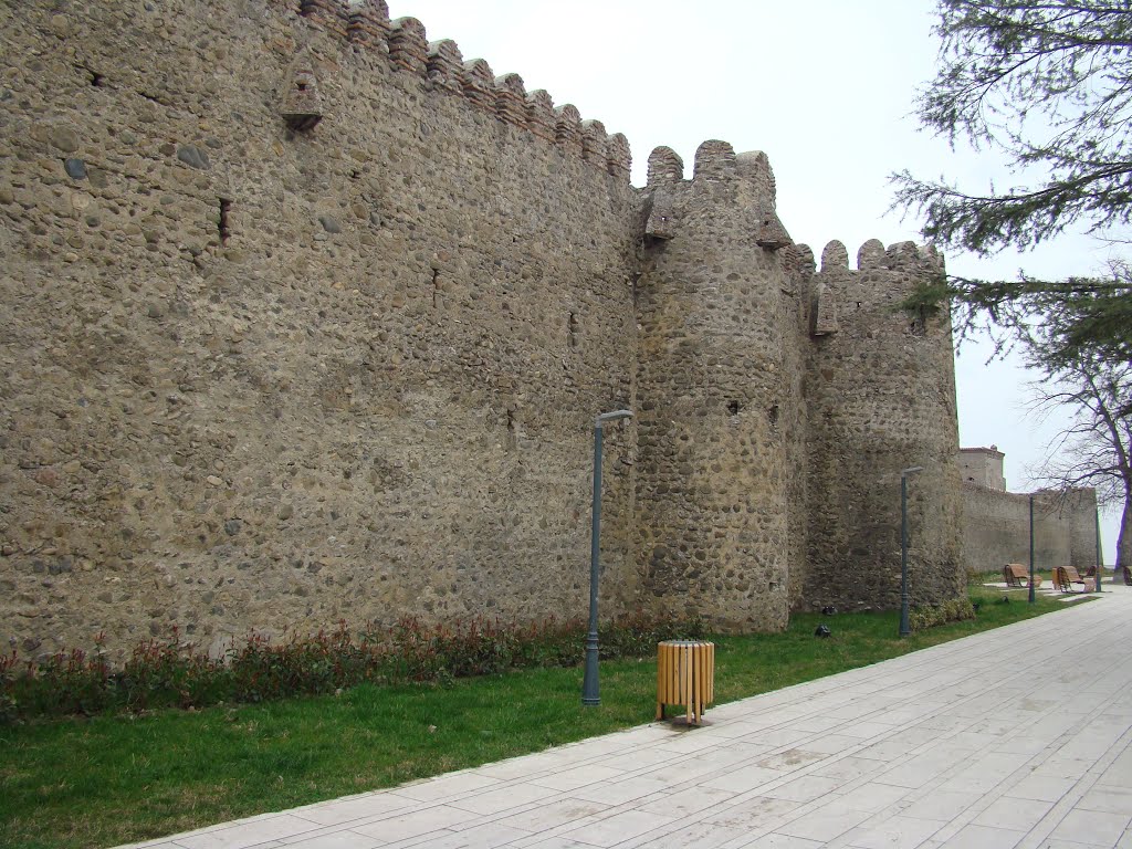 Batonistsikhe Castle, Telavi
