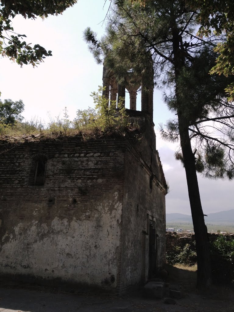 Telavi