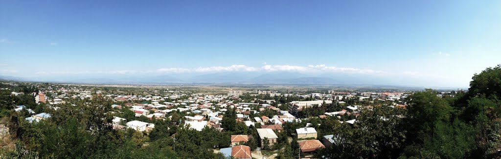 Telavi