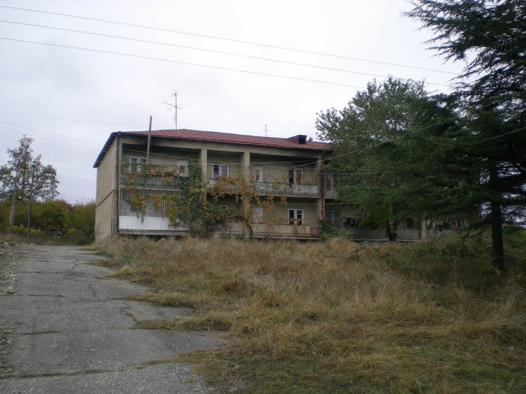 Near Telavi State University (28.10.2011)