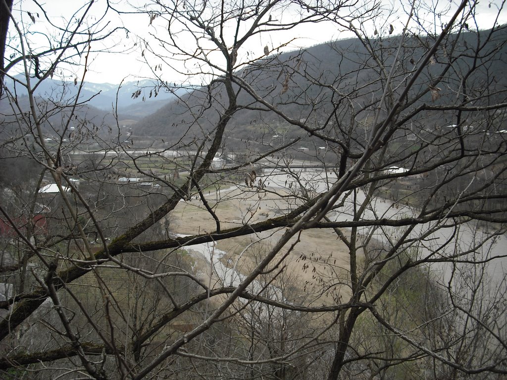 Terjola