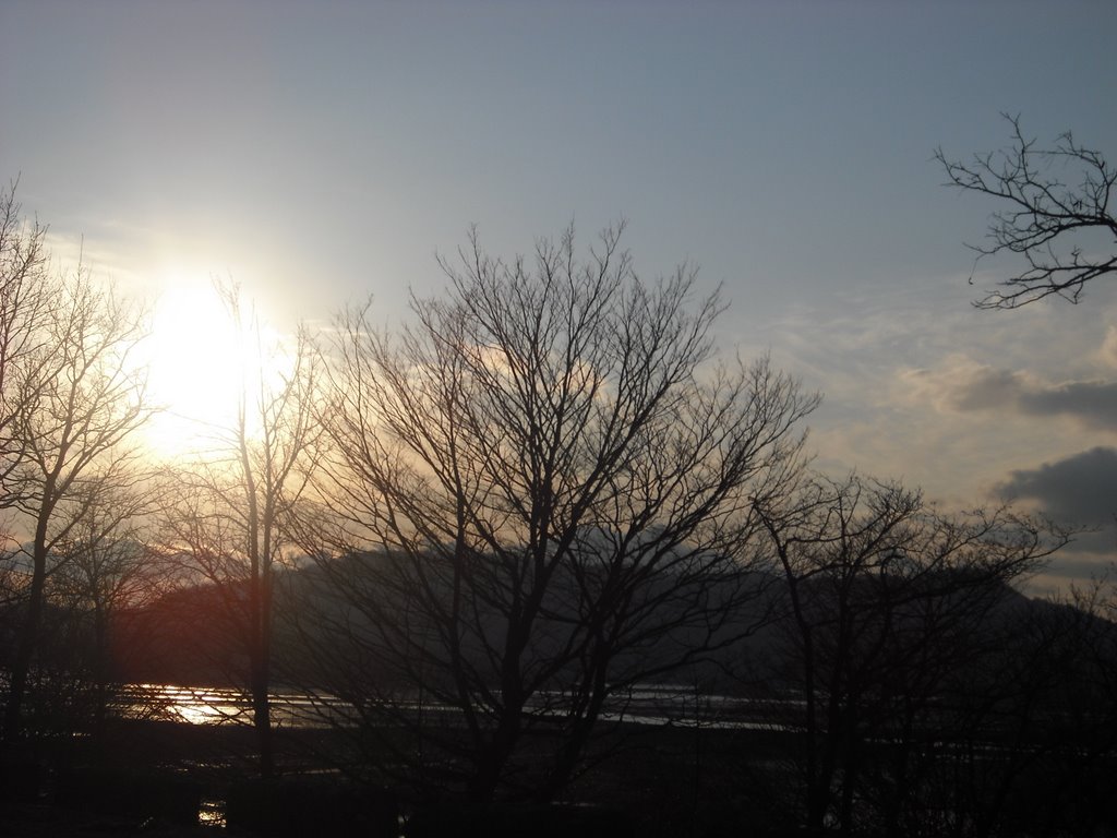 Twilight