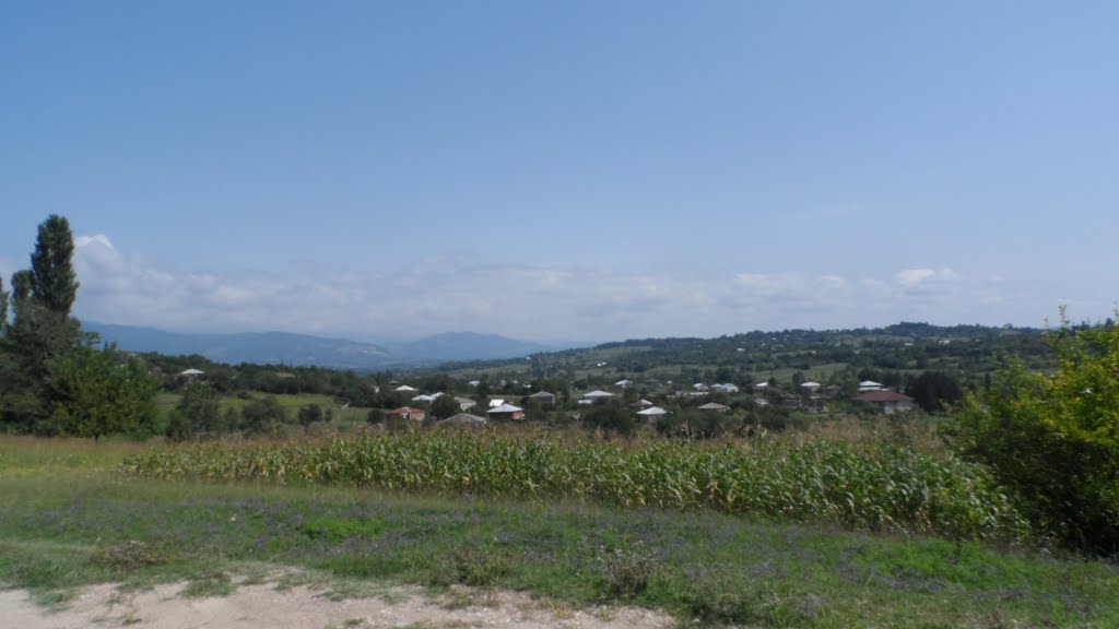 View of Terjola