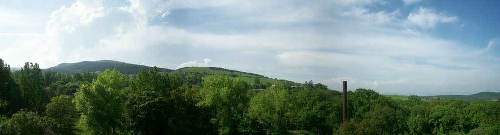 Гомер