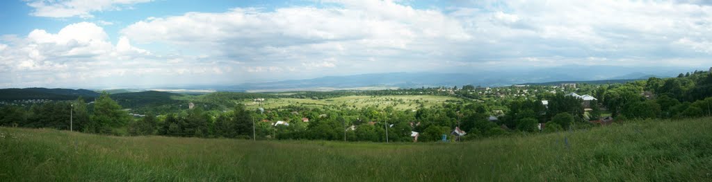 Тетри-Цкаро